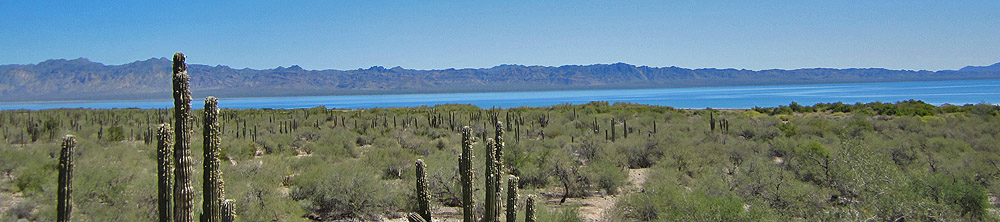 baja36