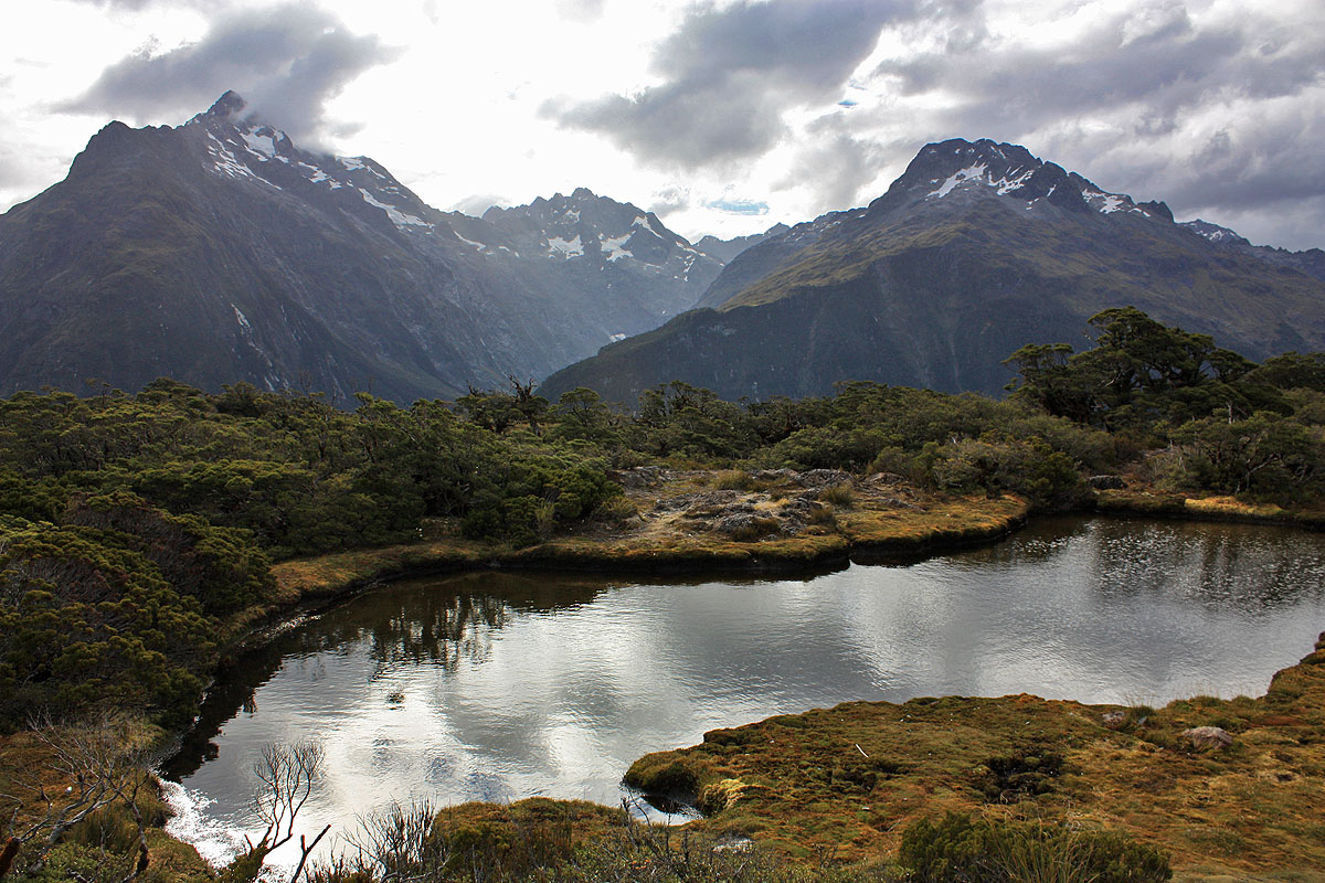 nz58