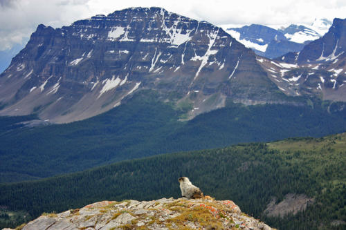 Helen Lake 